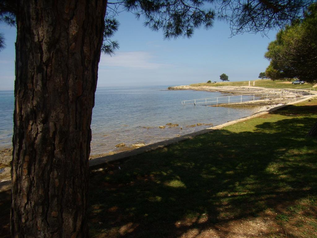Apartments Sv. Pelegrin Umag Extérieur photo